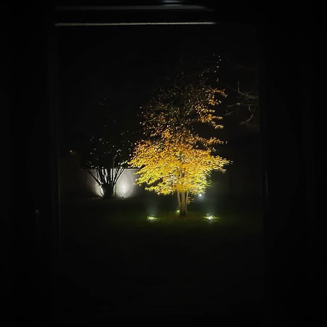 architecture window night nature